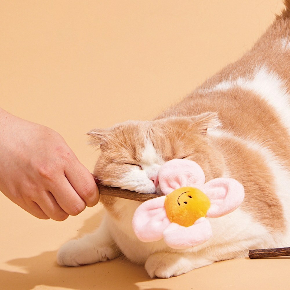 PURLAB- 花花fafa木天蓼潔齒玩具