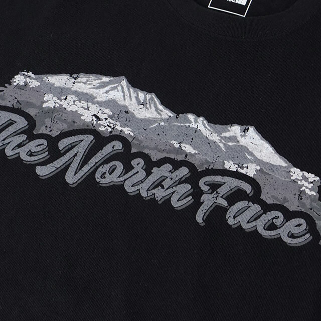 日本TNF Nature 高磅數短袖