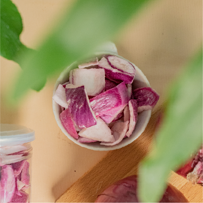 太空系輕果乾 │ 辛香洋蔥