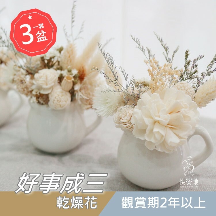好事成三 I 盆花 I 永生花 I 乾燥花(一套三盆) PF220200