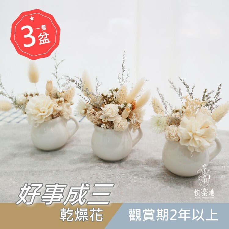 好事成三 I 盆花 I 永生花 I 乾燥花(一套三盆) PF220200