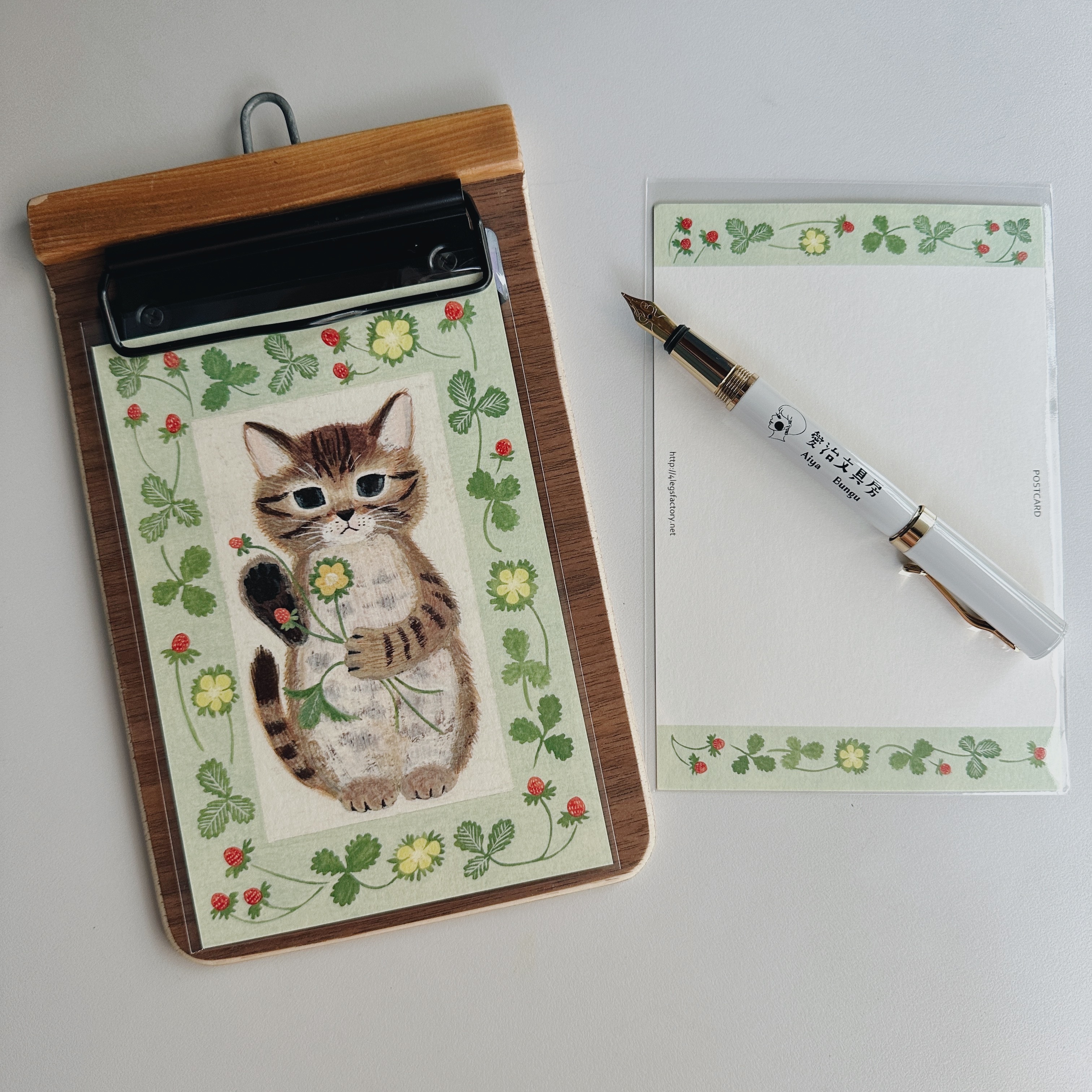 小貓 貓咪繪本明信片｜日本 4legs
