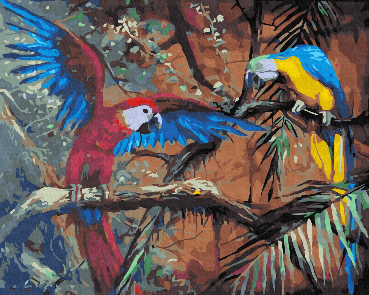 【CH004】熱帶雨林