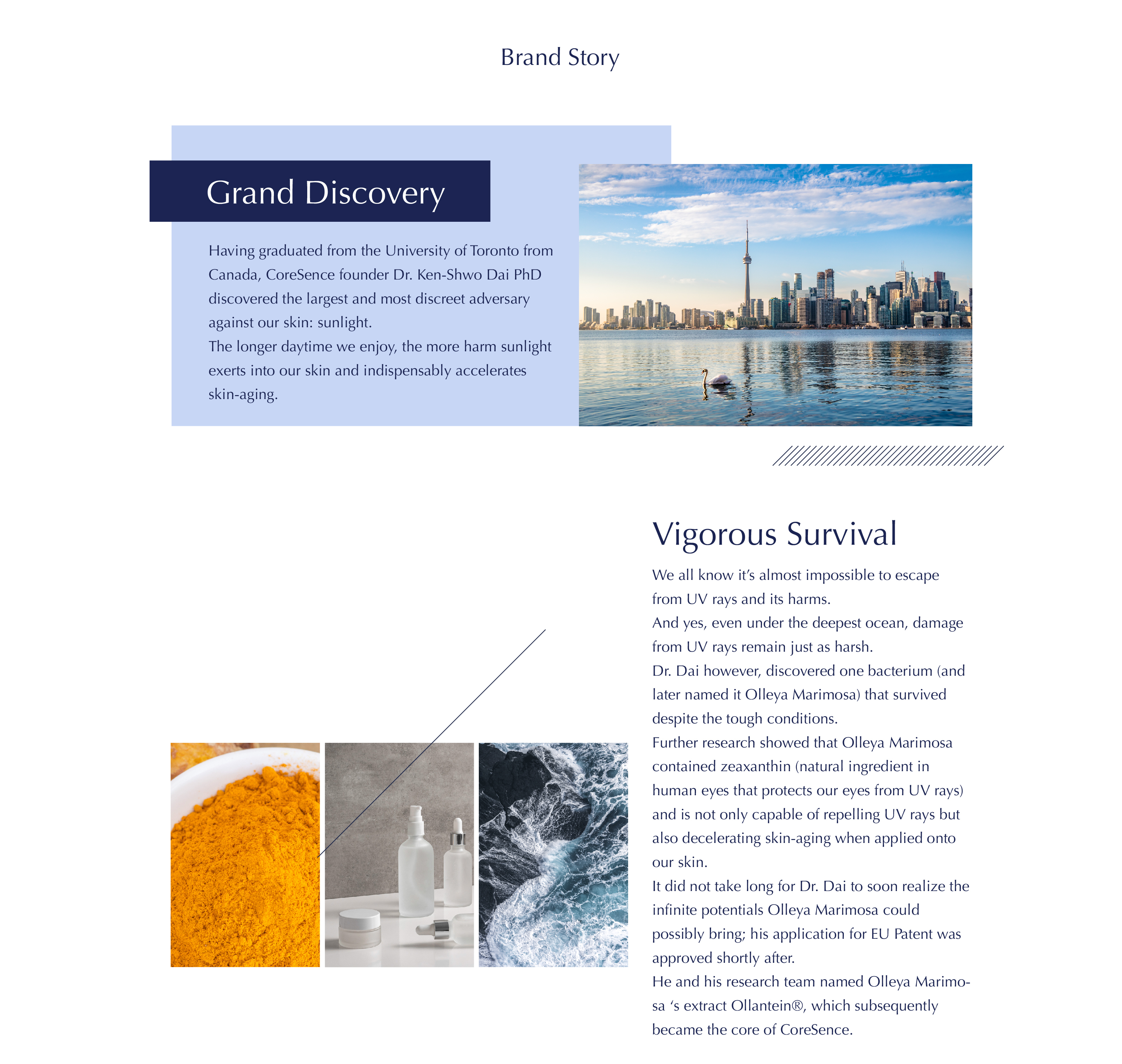 CoreSence Brand Story