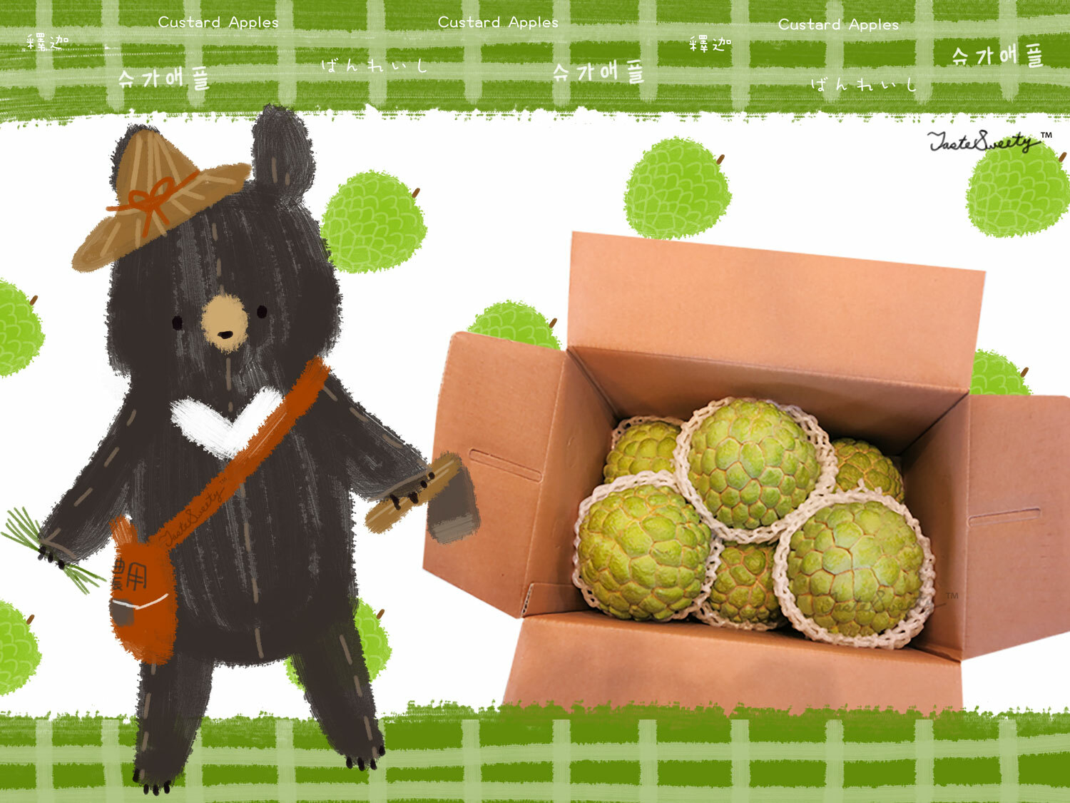 山林遠足熊臺東大目釋迦禮盒特級8-9粒5台斤裝(8-10台兩/粒)