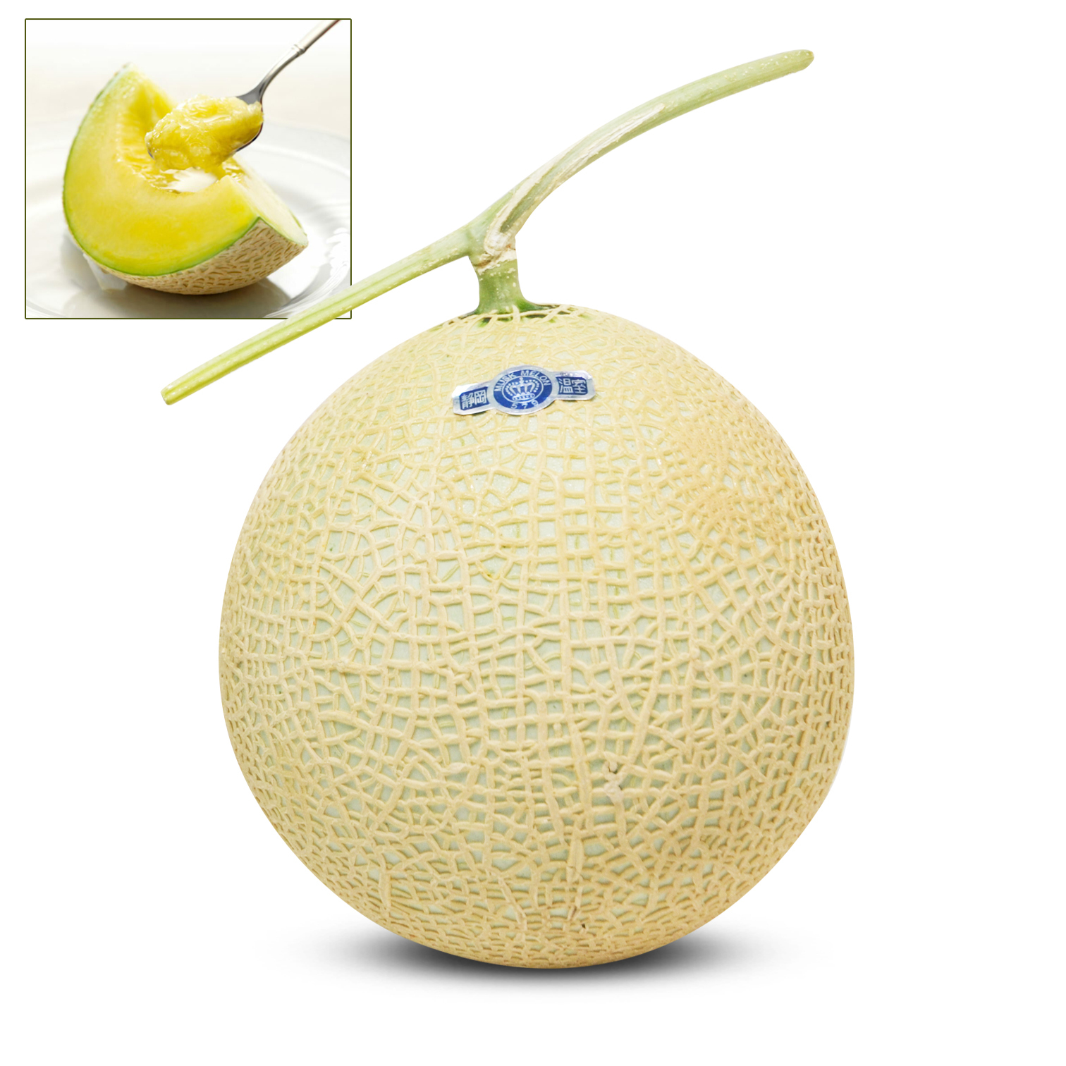 靜岡A印皇冠 綠肉蜜瓜 [1個|大裝]
