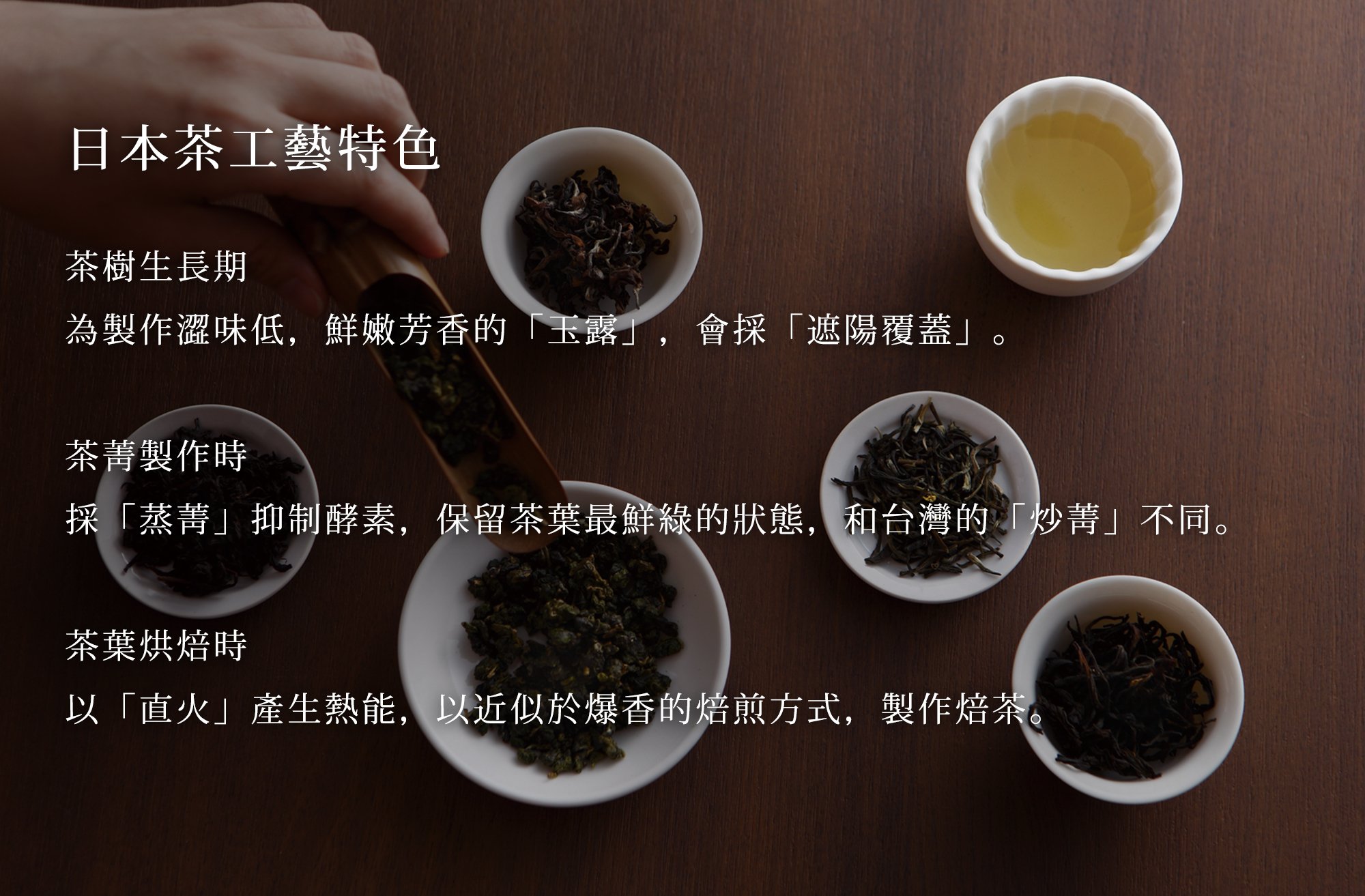 八女煎茶-世界選茶系列：日本茶｜原葉袋茶茶包15入｜光之茶｜京盛宇 