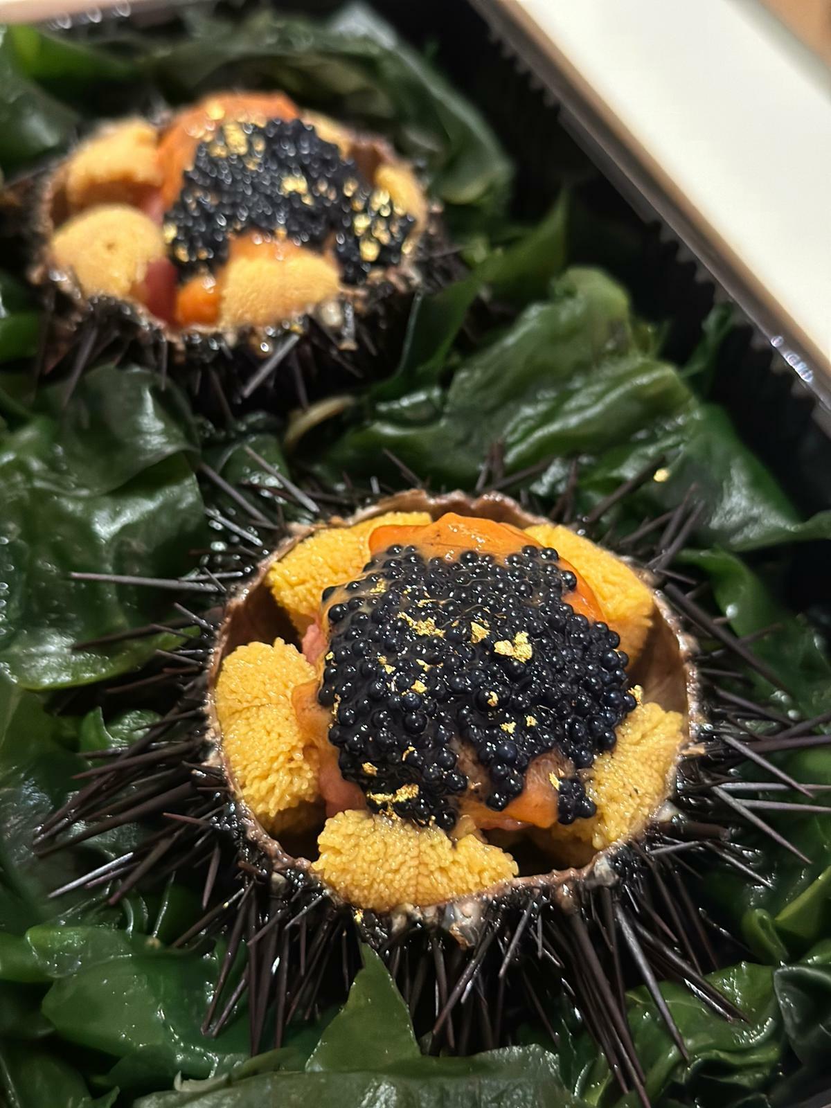 北海道 原隻活紫海膽配馬糞海膽及多種配料(隻)