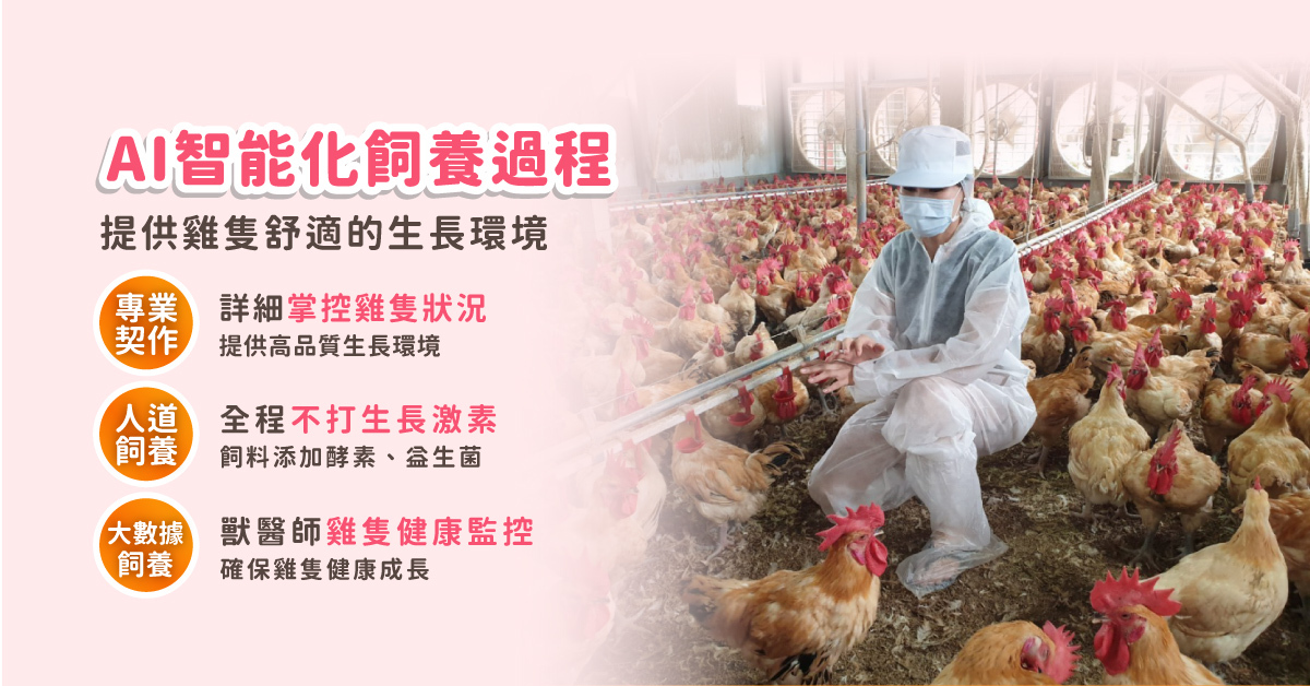重視動物福利人道飼養精神的農場合作，運用AI智能飼養管理系統提供雞隻好的生長環境，讓雞隻在安全、乾淨且通風的雞舍中，在大數據監測下擁有乾淨且充足的飼料及水源下成長，其中飼料還添加益生菌和酵素，結合智能環控科技的飼養方式，並有獸醫師定期監測雞隻生長狀況