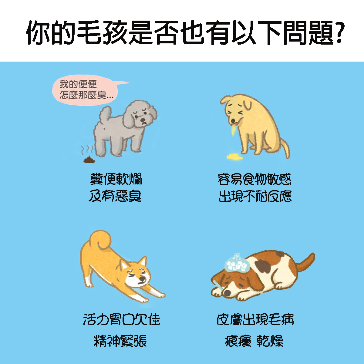 ProVida - 紐西蘭護腸配方 200g 益生菌粉 #貓犬適用