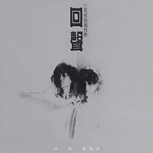 齊豫 Chyi Yu, 潘越雲 Michelle Pan - 回聲 (白膠) LP VINYL