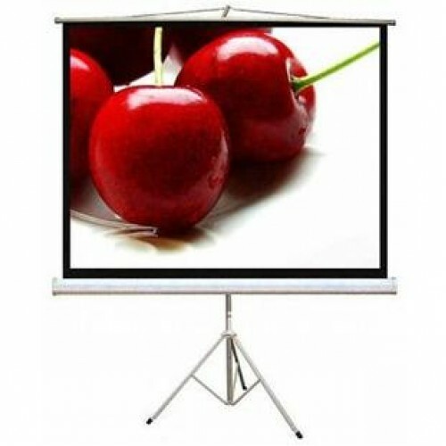 R&V 60"x60" Matte White Tripod Screen三腳幕(Part no.: STM60)