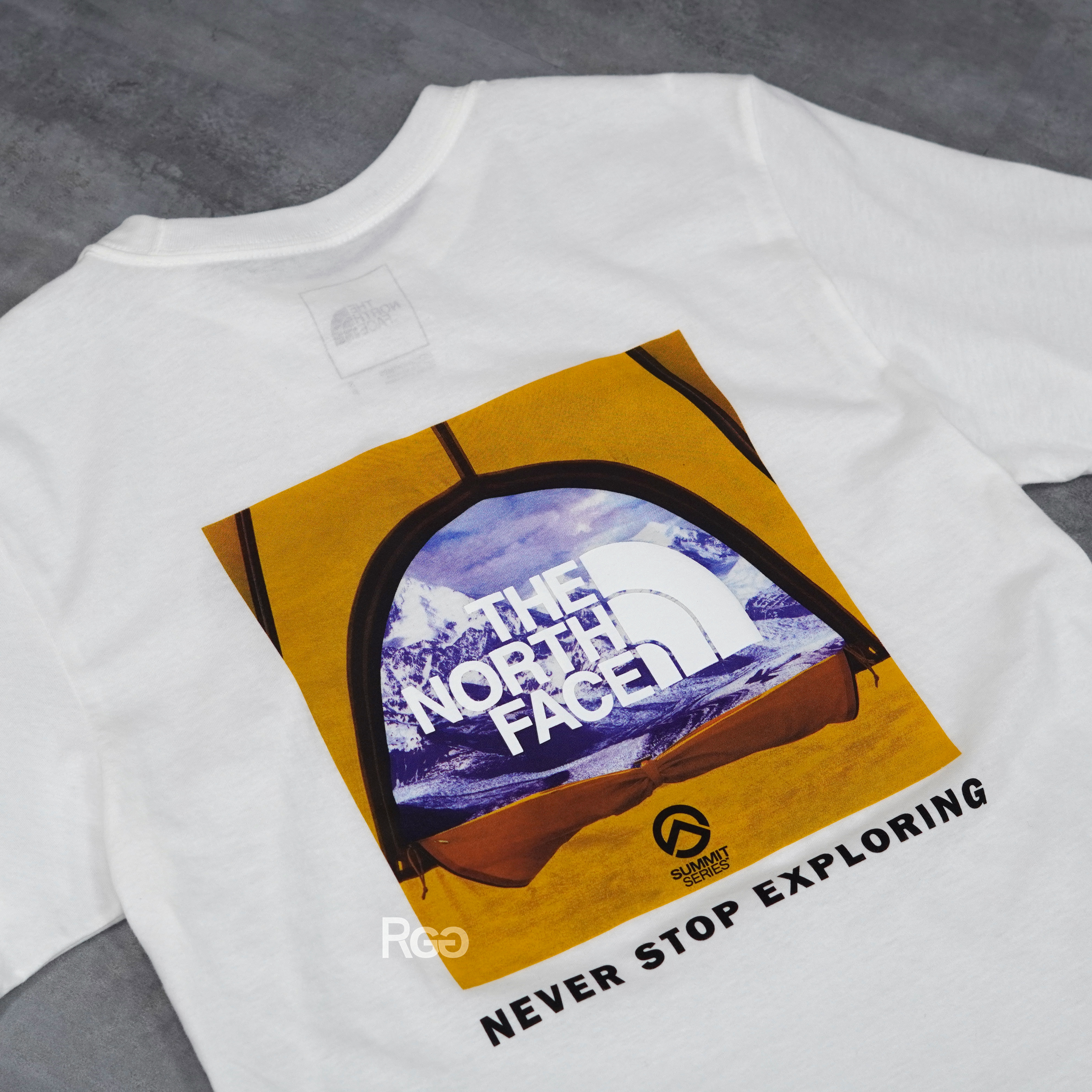 The North Face TNF 北臉 Printed Box NSE 短T (NF0A7ZWITU21)