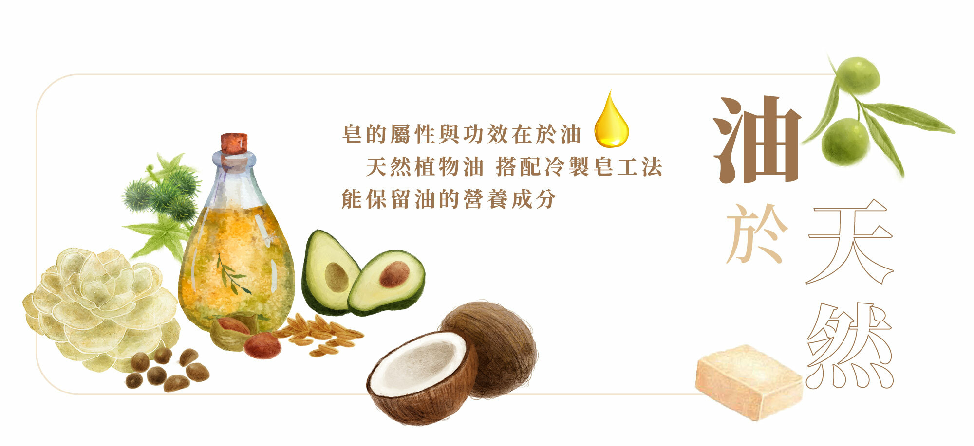 植物油皂,冷製皂,手工皂,手作課程,認證班,純植物油,無化學添加無香料,home made soap,精油,洗沐浴用品,Shower gel,Body shower,Nature oil,essential oil,椰子油,橄欖油,熟成,馬油