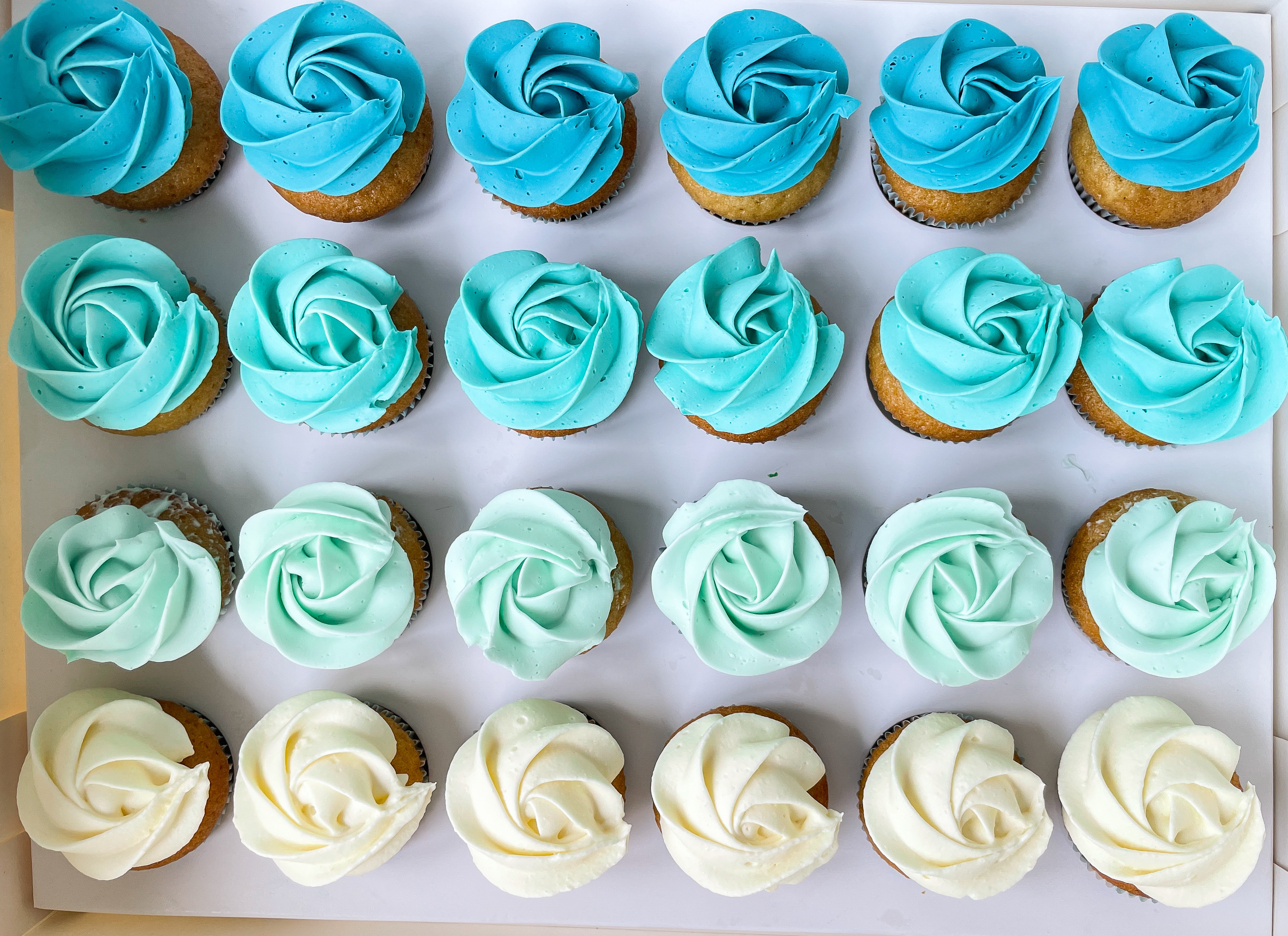 粉藍迷你杯子蛋糕組合