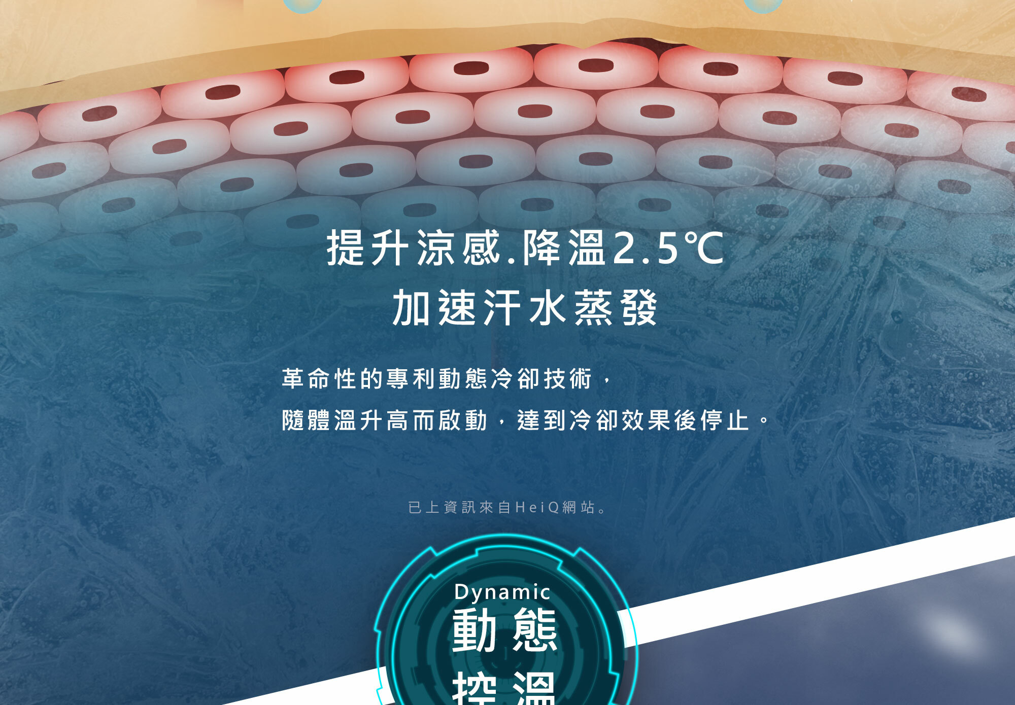 擬態科技涼感襯衫，降溫高達2.5度