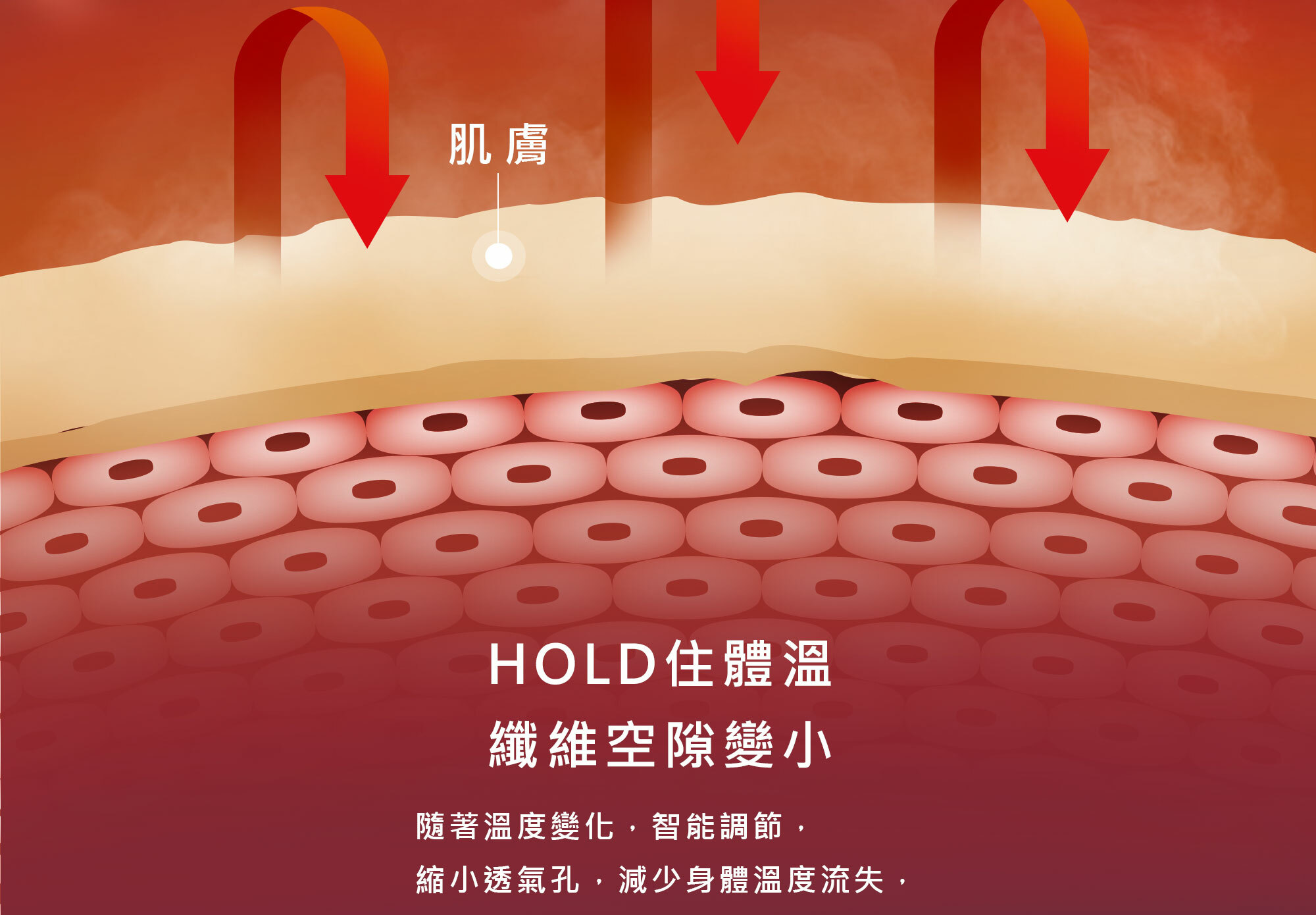 擬態科技襯衫布料論孔隙變小，冬天可以保暖蓄熱