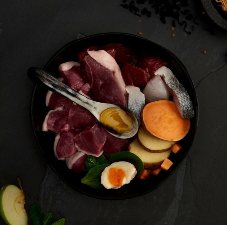 Canagan 無穀物田園野味配方 (紅色) 全貓糧1.5kg 聖誕優惠