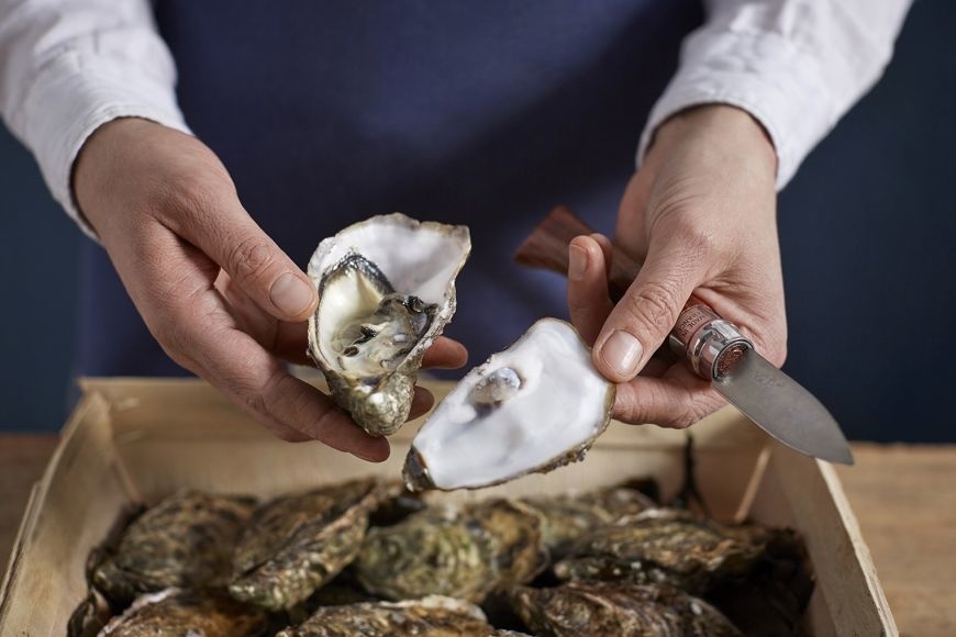 Opinel N09 傳統美食蠔摺刀 OP-001616