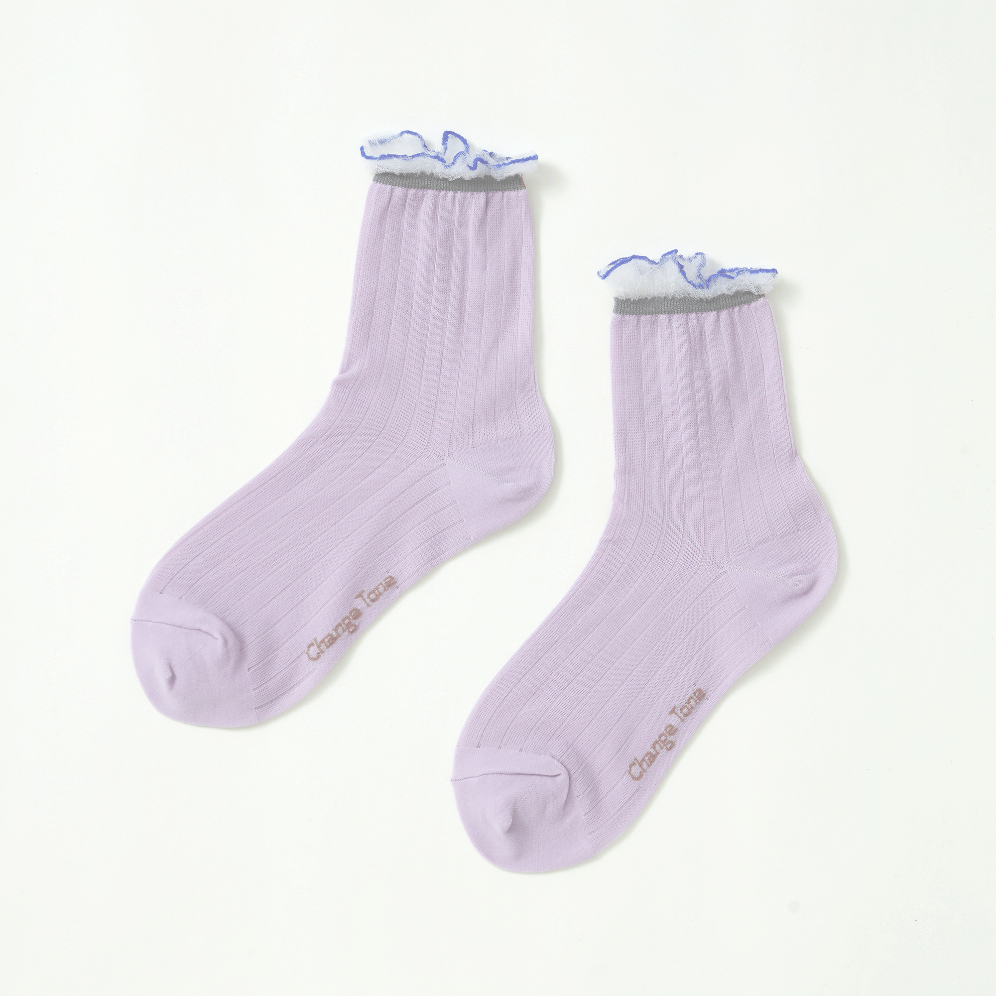 小雛菊〈淺紫〉