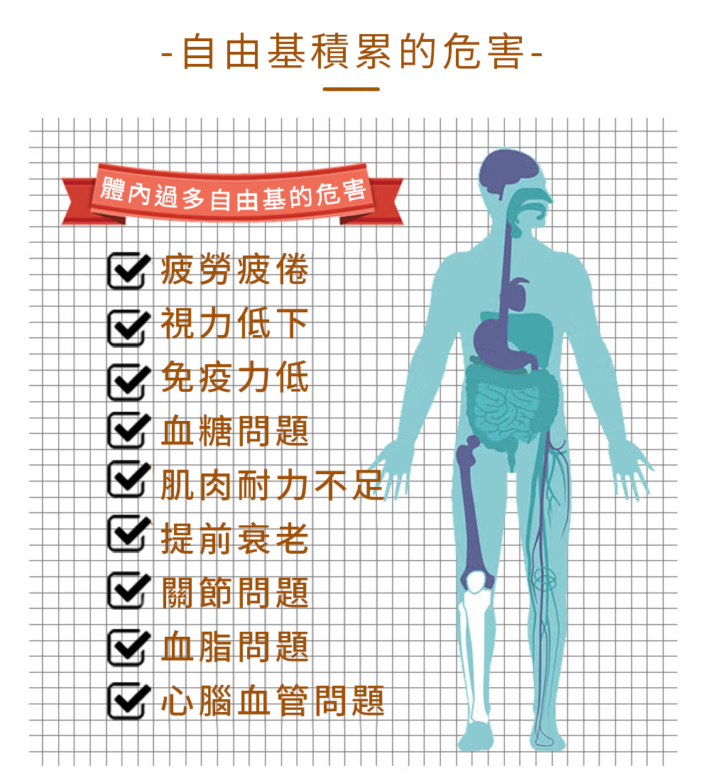 Spruce Nutrition 蝦青素 南極磷蝦油 30 粒裝 美國原裝行貨 詳細介紹