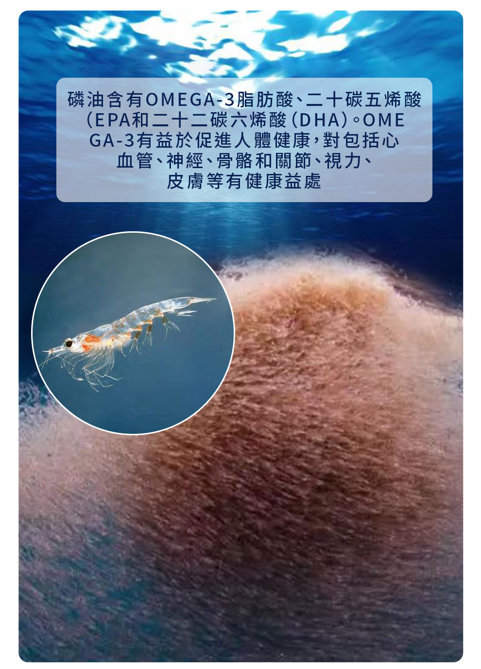 Spruce Nutrition 蝦青素 南極磷蝦油 30 粒裝 美國原裝行貨 詳細介紹