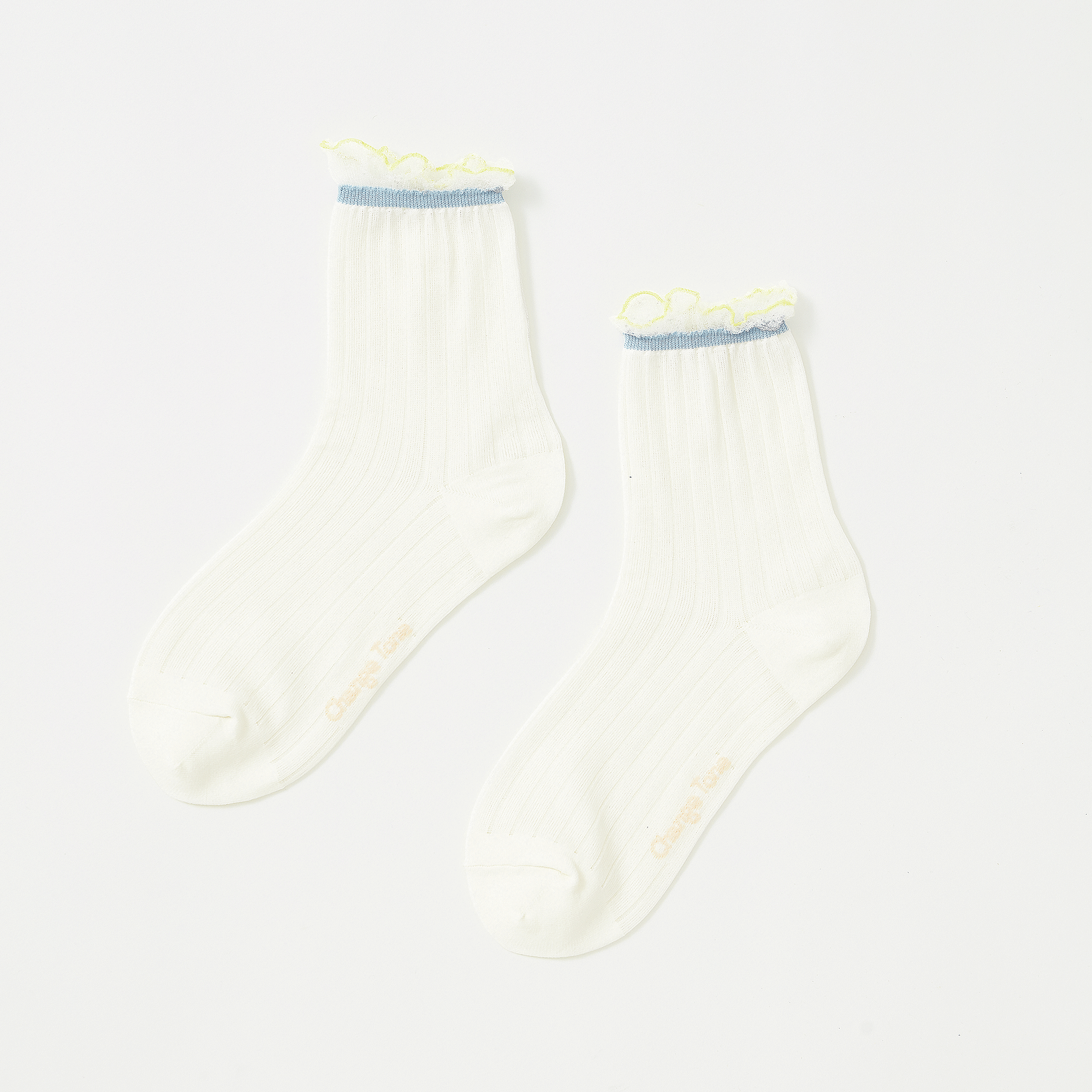 小雛菊〈米白〉