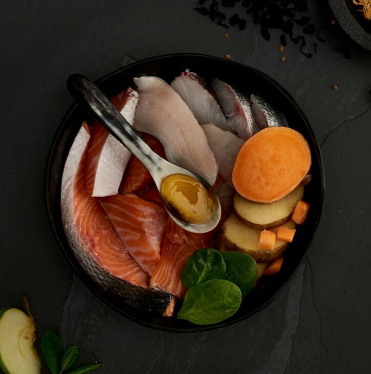 Canagan 無穀物走地雞老貓配方(紫色) 1.5kg / 4kg