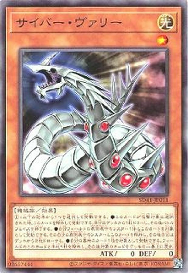 SD41-JP011 サイバー・ヴァリー