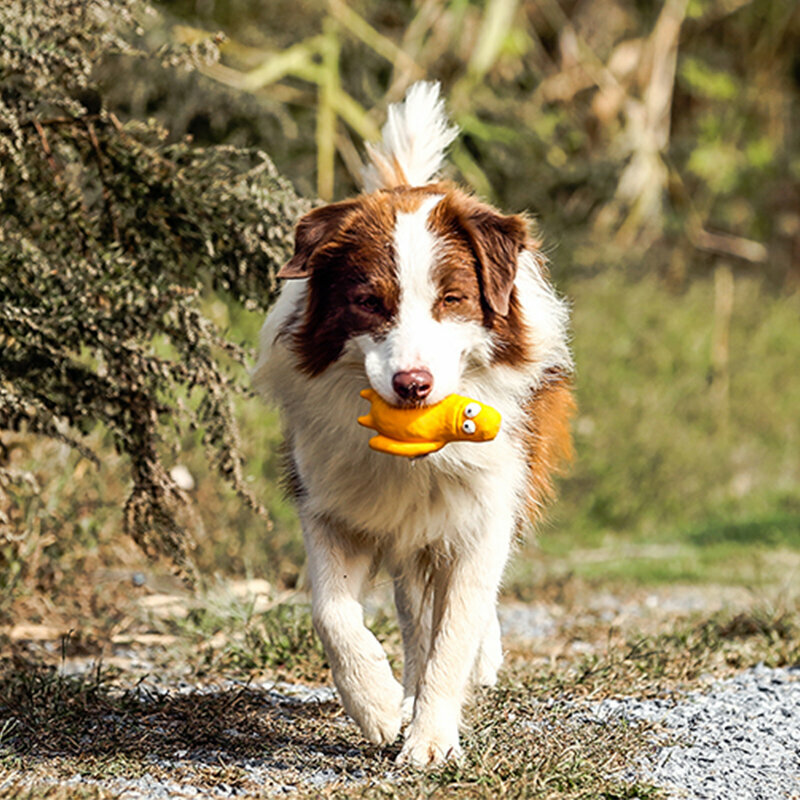 【新上架！】Q-monster 寵物發聲膠軟玩具 —Biden (9.5*5.5*14.6cm)