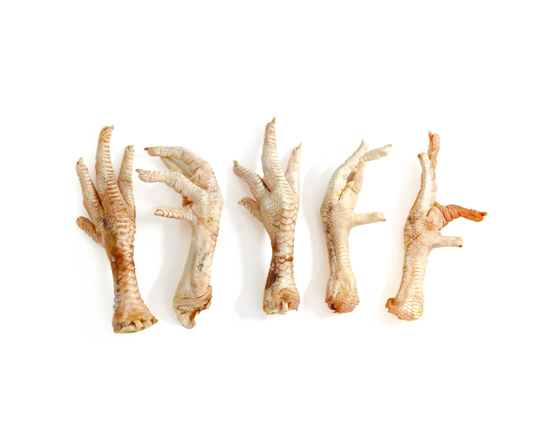 TREAT ME 食癒毛小孩 ｜親戚麥雞腳