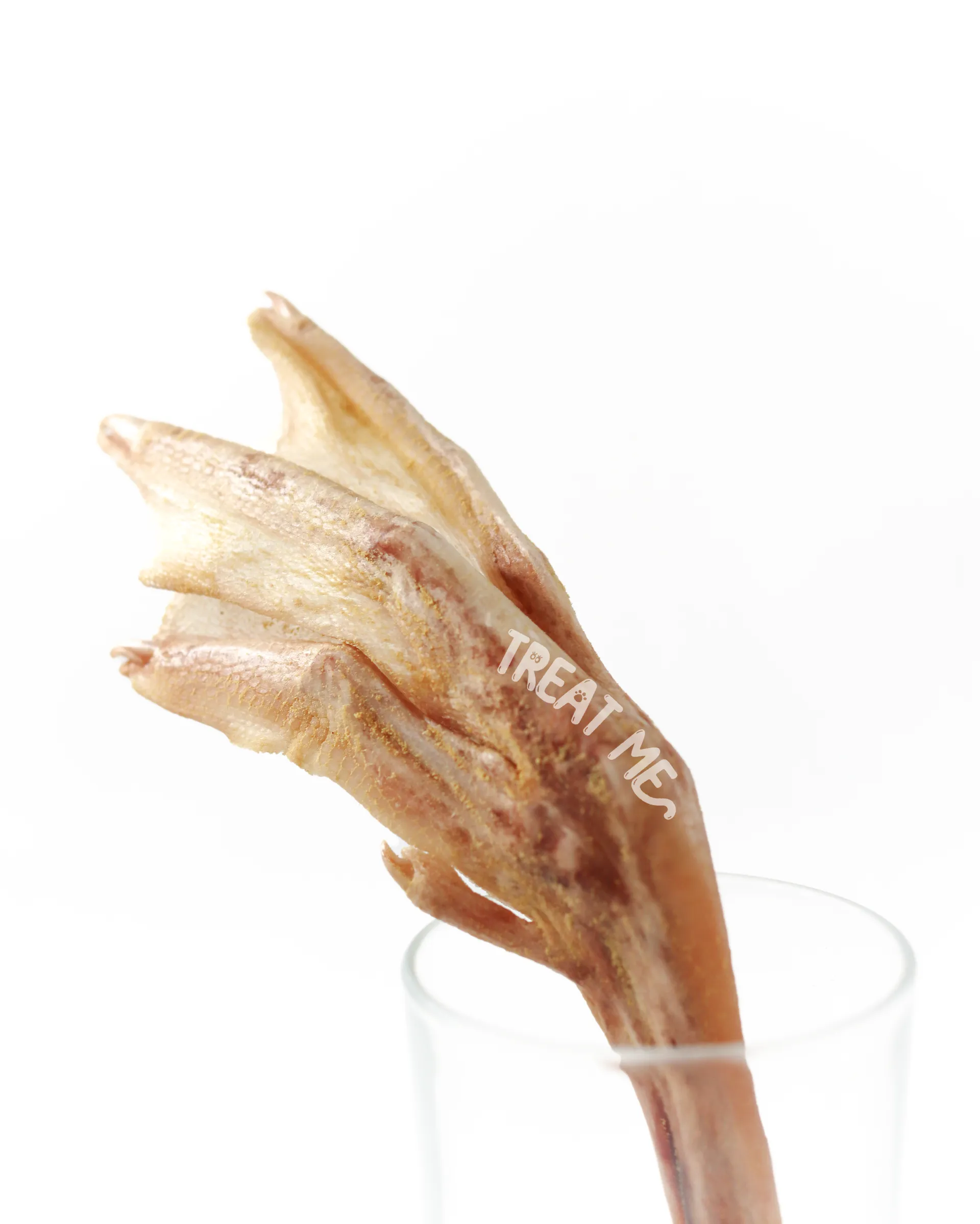 TREAT ME 食癒毛小孩 ｜鵝掌門