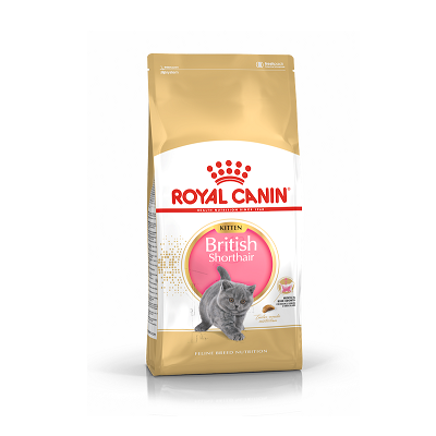 Royal Canin 英國短毛幼貓配方 10kg