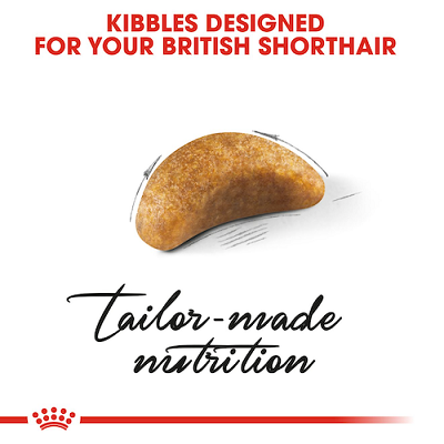 Royal Canin 英國短毛幼貓配方 10kg