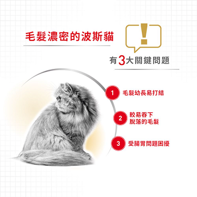 Royal Canin 成貓  波斯貓配方 PS30 - 2kg / 4kg / 10kg