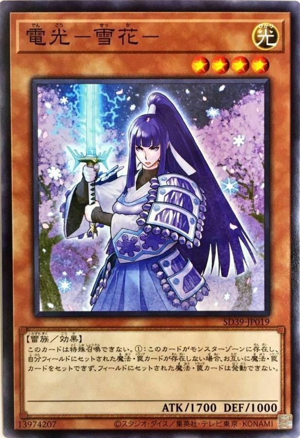 SD39-JP019 電光－雪花－