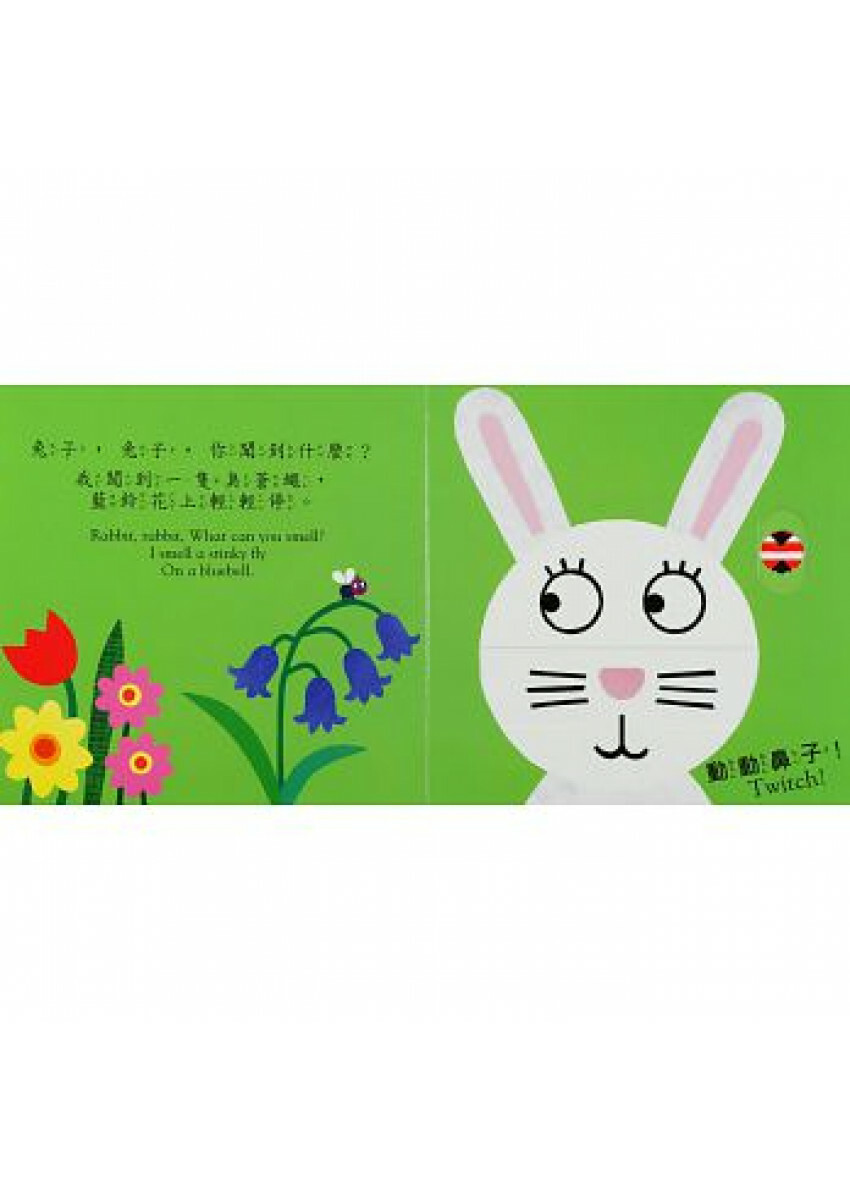 小貓，小貓，你看見什麼？