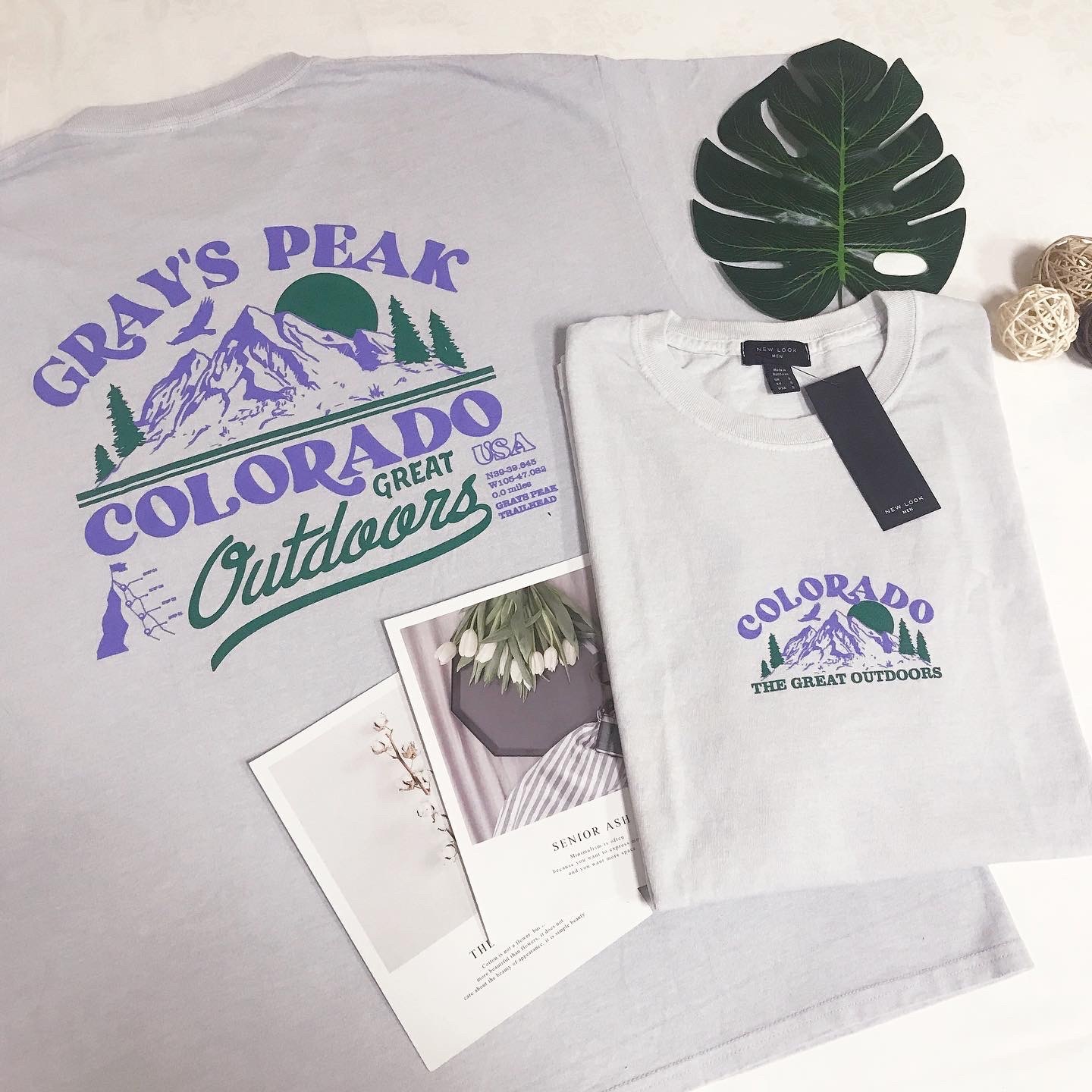 NEW LOOK MOUNTAIN BACK PRINT TEE