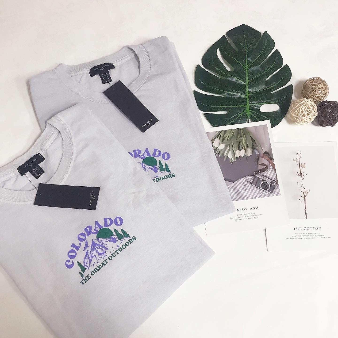 NEW LOOK MOUNTAIN BACK PRINT TEE