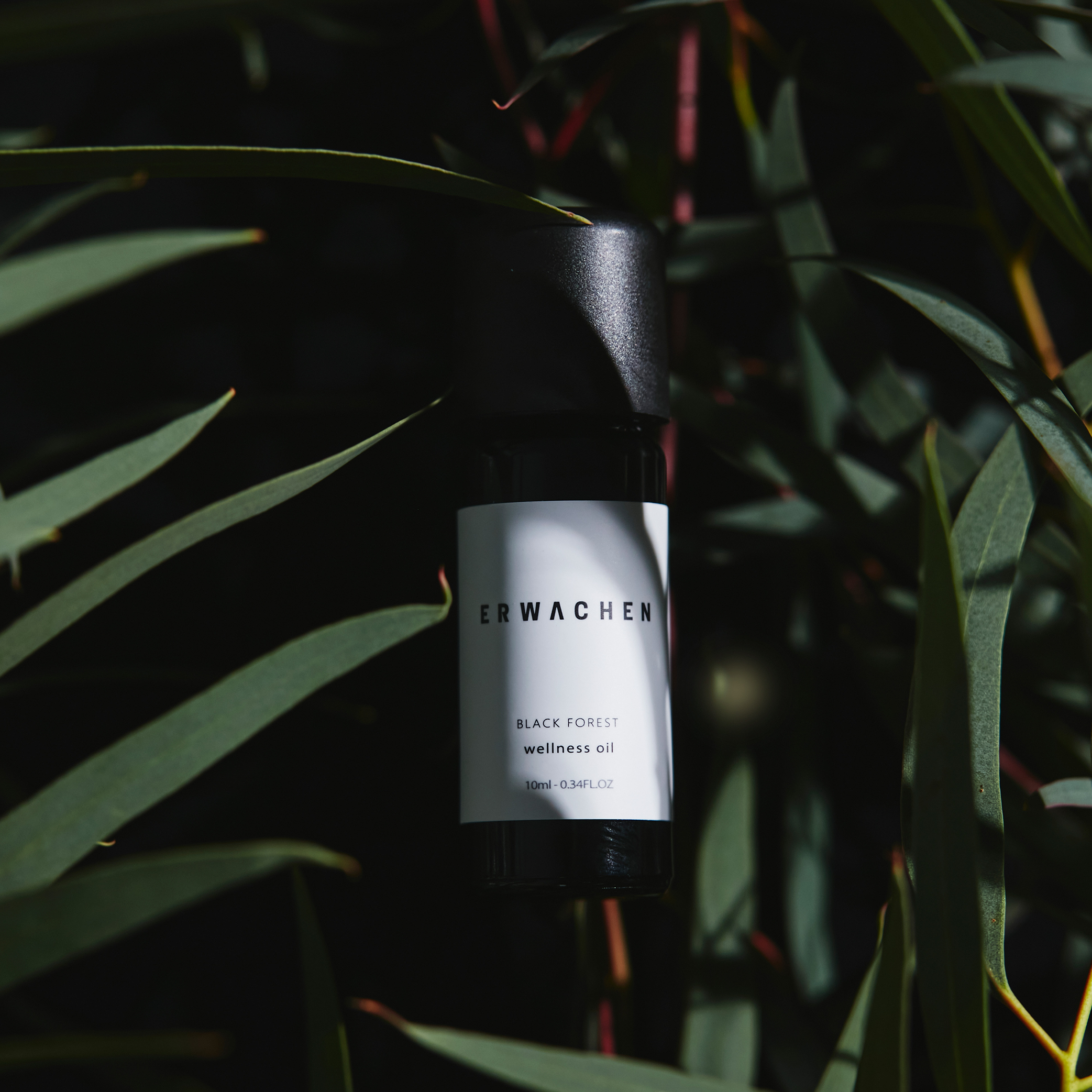 複方精油｜黑森林純菁10ml