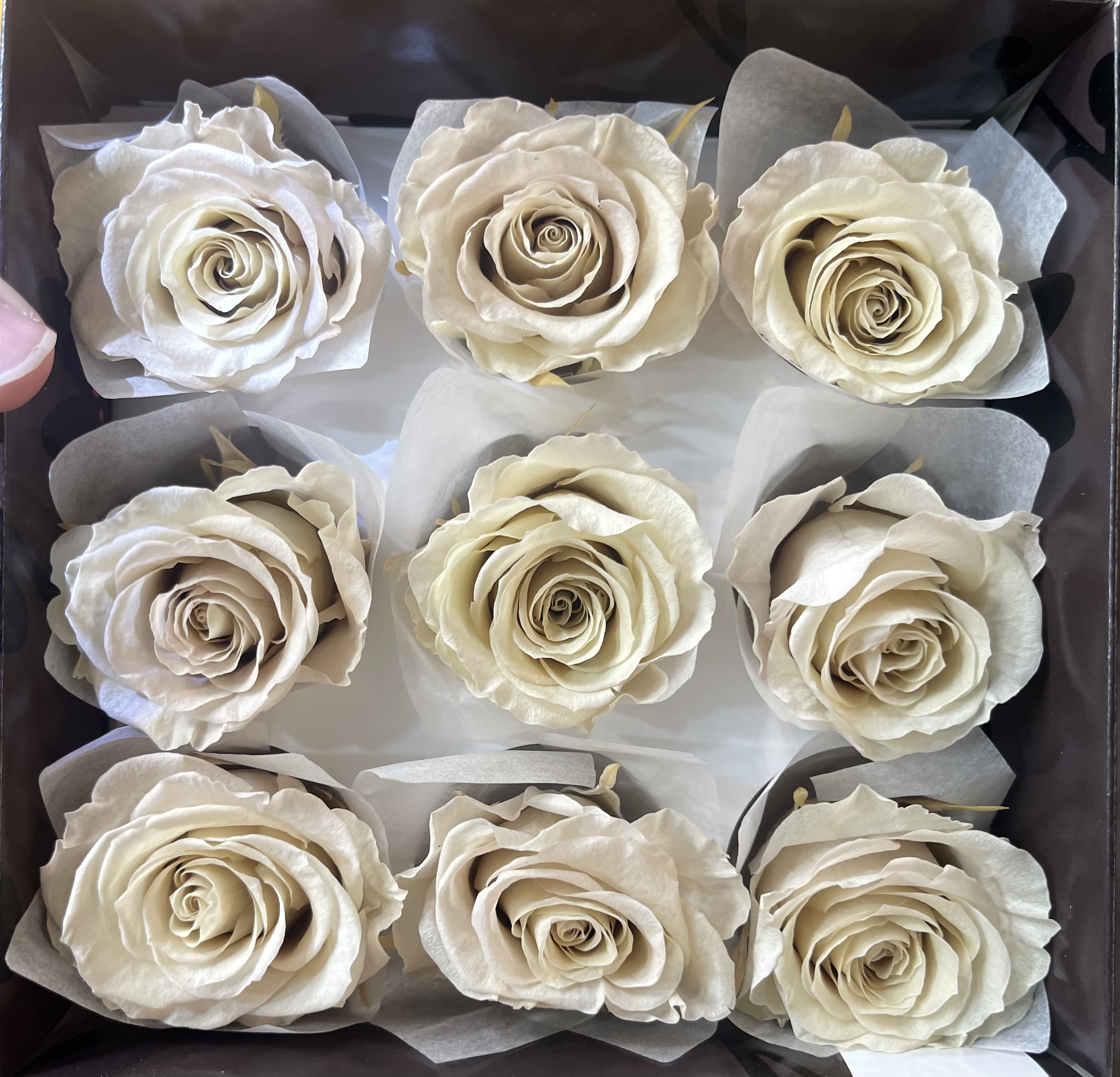 大輪玫塊 03042-400