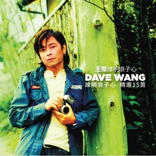 王傑 Dave Wang - 誰明浪子心精選15首 2VINYL LP