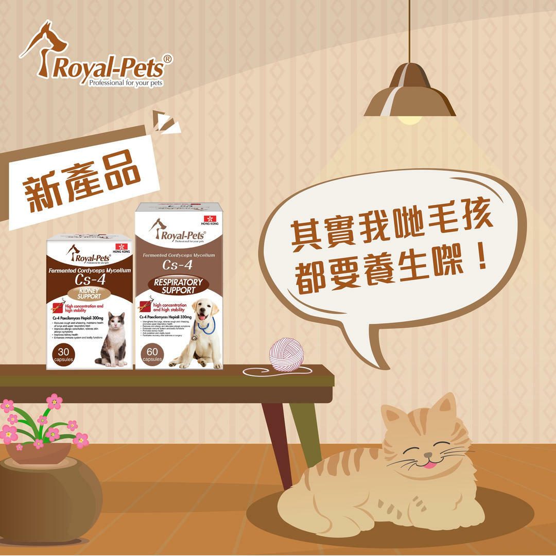 Royal-Pets Cs-4 貓用發酵蟲草菌絲體