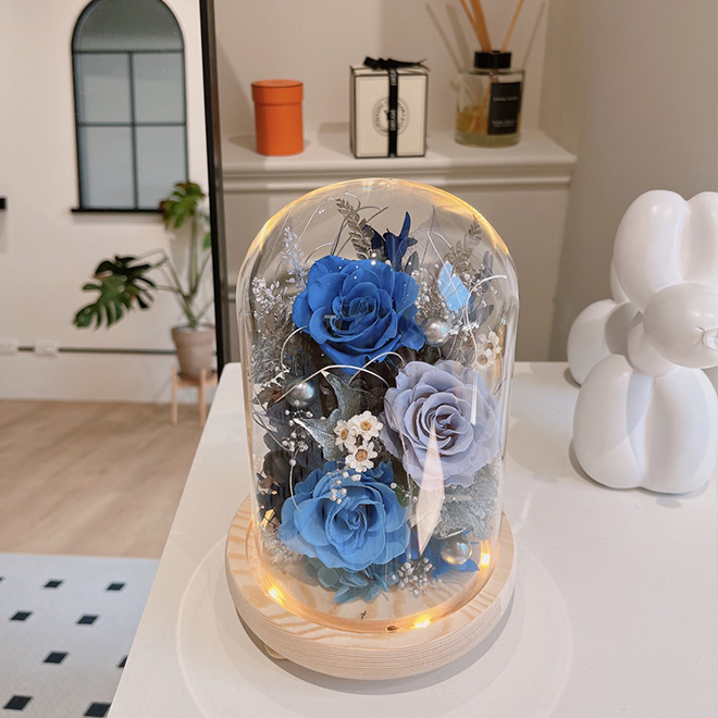 藍色永生花玻璃罩小夜燈 莫藍迪灰 寶藍色永生花