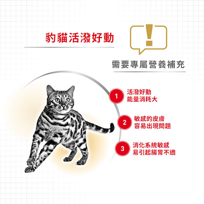 Royal Canin 孟加拉豹貓專用配方 2kg