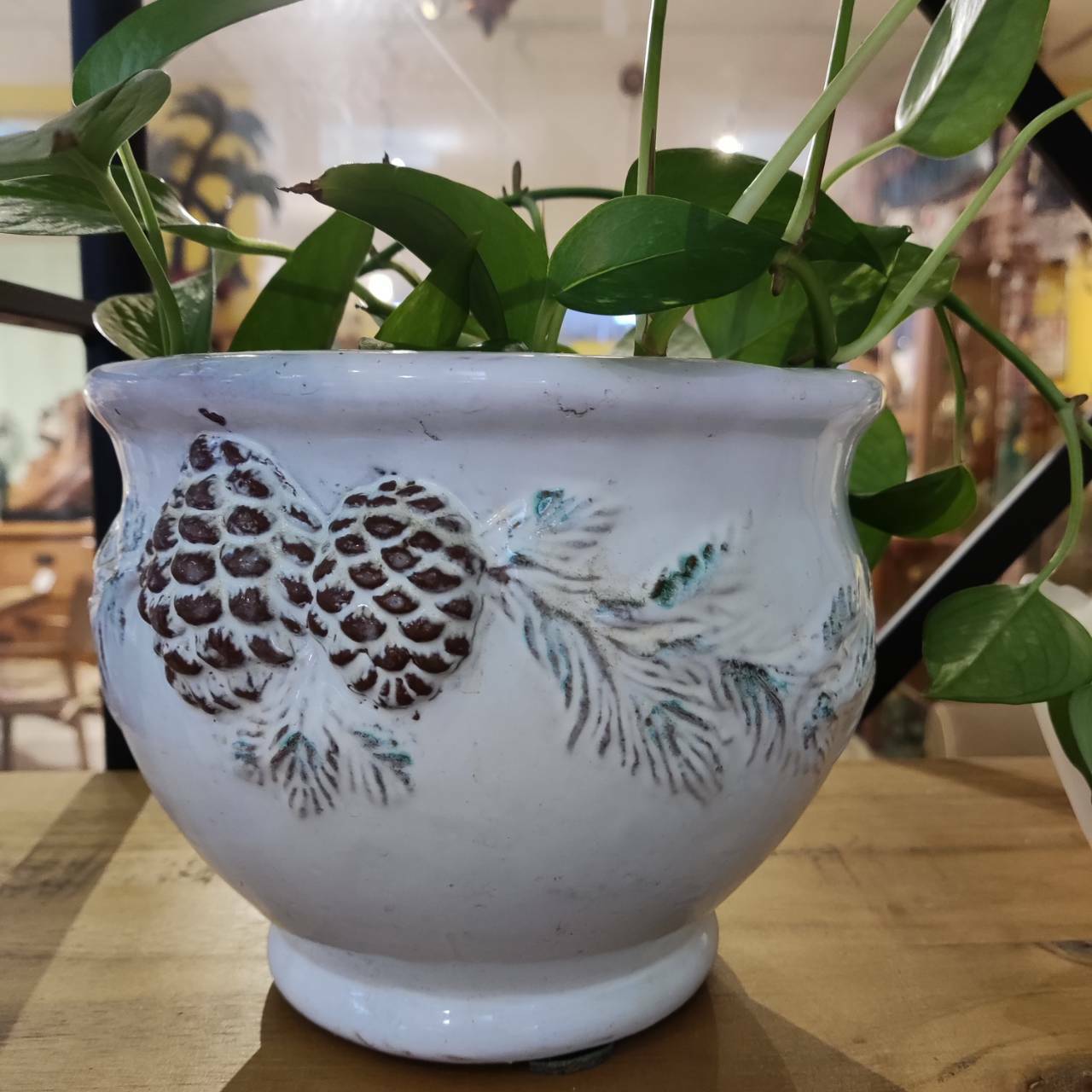 圓肚花盆[MJ松果]