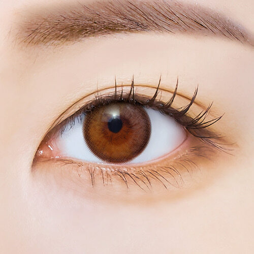 I-SHA Polaris Monthly (Ursa Brown)(1P)