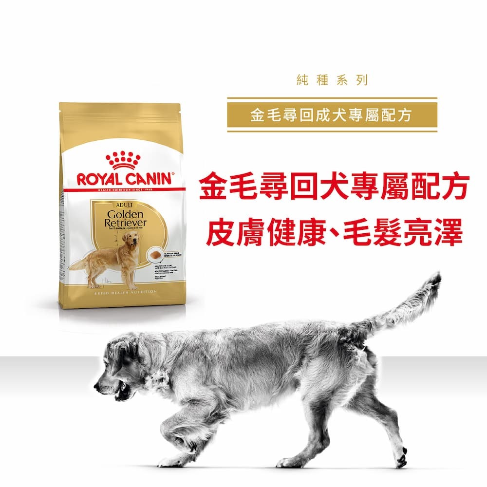 法國皇家 金毛尋回成犬專屬配方 12KG