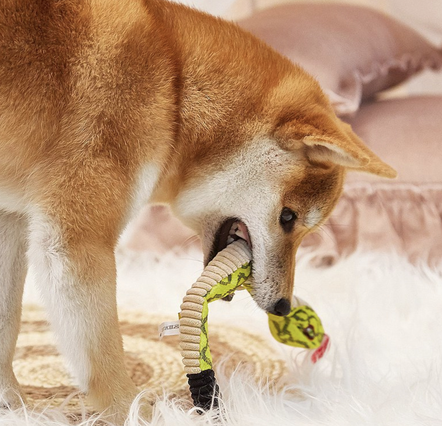 Petsville派思維 - 尖叫蛇互動性玩具(2色)