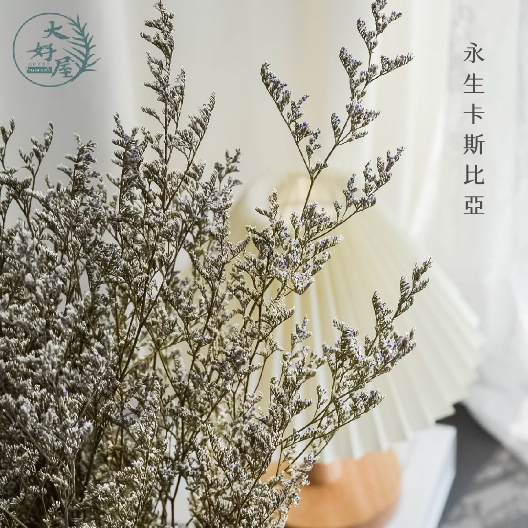 永生卡斯比亞【大束裝】